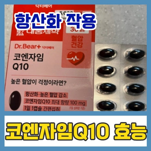 코엔자임Q10 - 다이소에서 사서 먹는중