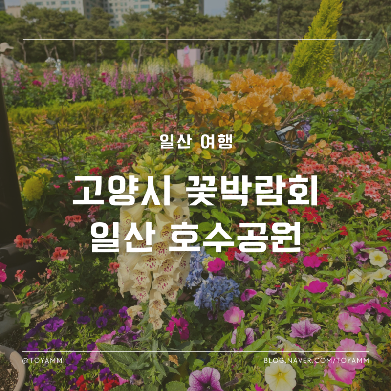 고양시 꽃박람회 일산 호수공원 포토존 제대로 즐기기
