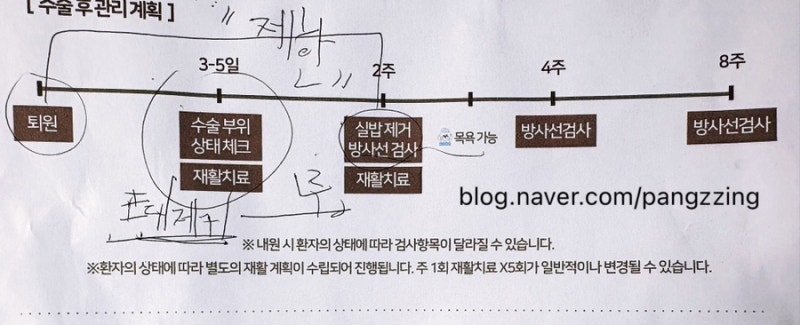 강아지 슬개골 탈구 3기 수술 후기 2탄 퇴원 후 관리 회복기 강아지 디스크 (울산 이승진 동물....