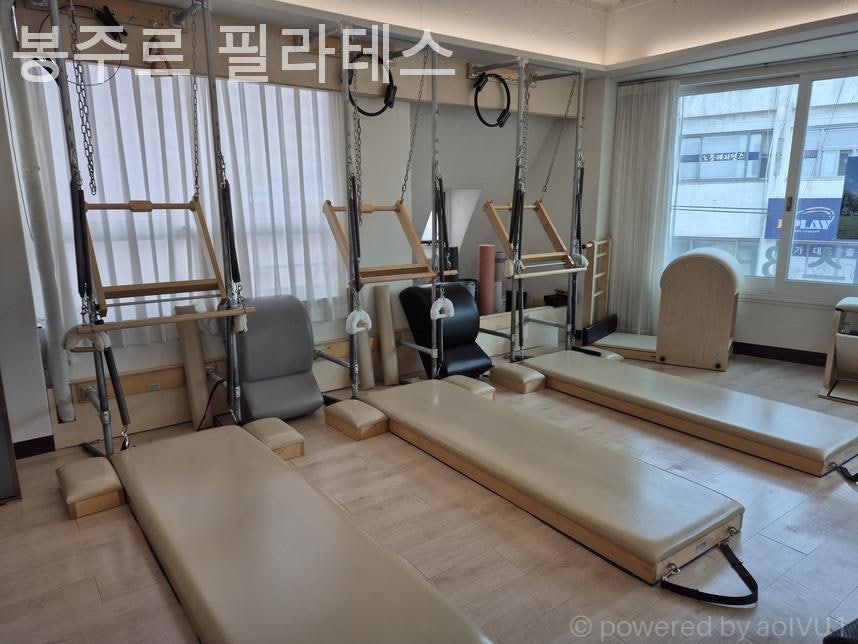 봉주르 사진 3