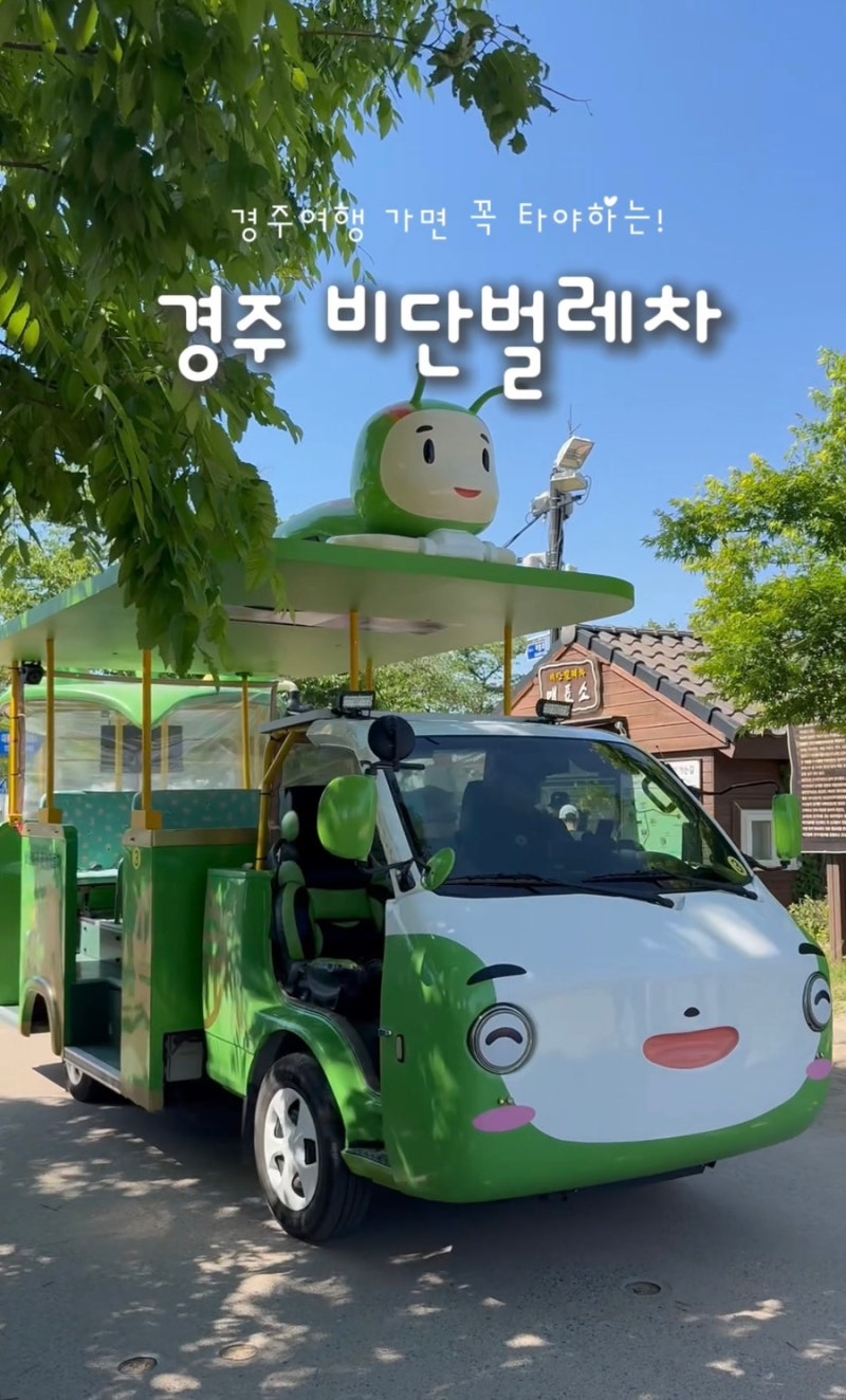 아이랑 경주여행 경주여행 비단벌레차 예약 꿀팁 현장예매