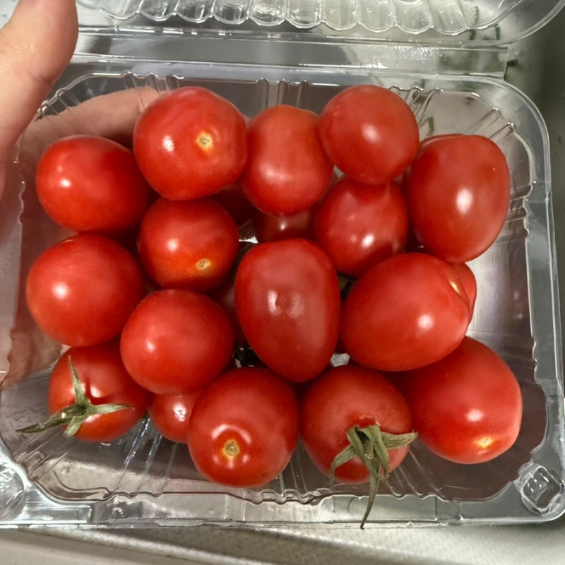 방울토마토 오래 보관하는 법 (상온, 냉동, 냉장, 세척 보관, 유통기한 등)