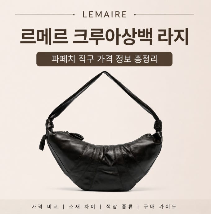 Lemaire Croissant Bag Large: Choi Woo-shik's Bag from Youth Over Flowers, Latest Price Information