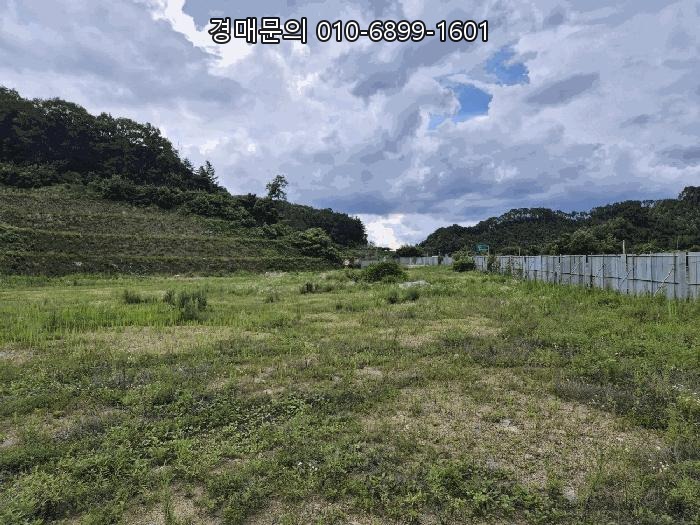  충북 음성군 대규모 개발부지 임야 1.3만평 토지 경매, 사업계획 취소 위기를 기회로 바꿀 절호의 낙찰 찬스 2025-30559