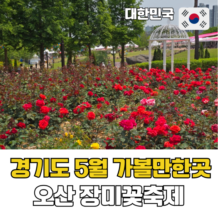  경기도 5월 가볼만한곳 오산 장미꽃축제 오산 고인돌공원 2026 오!해피 장미빛 축제