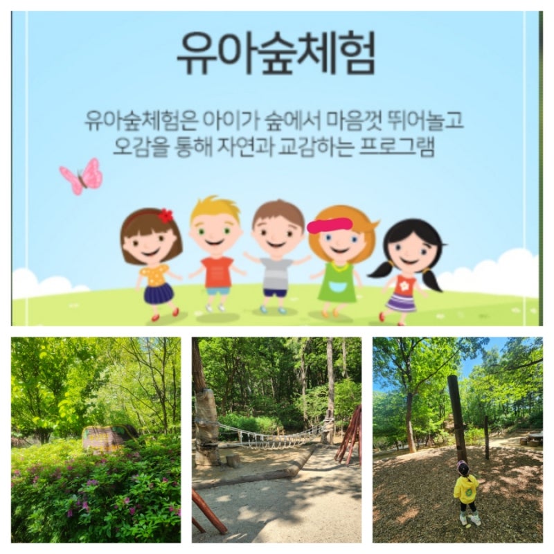 아이랑 성남산림복지 산성공원 판교공원 위례공원 유아 숲체험원 프로그램 신청방법