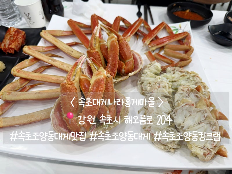 속초 대게 홍게 맛집 속초고속버스터미널  대게 홍게 맛집 속초해수욕장 속초대게나라홍게....