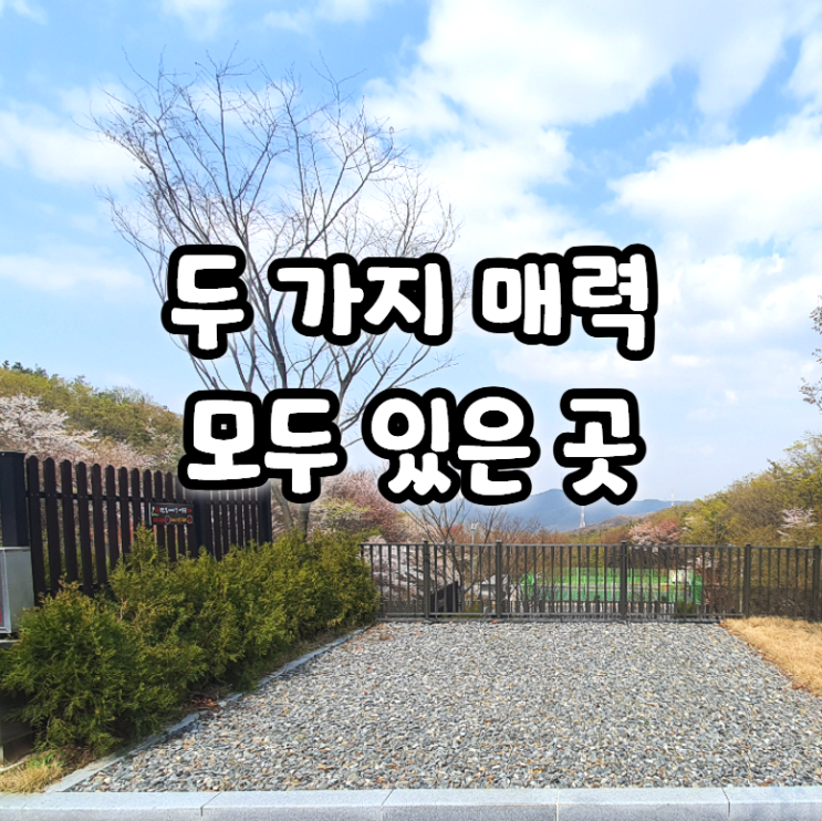  영인산자연휴양림 캠핑 명당 리뷰 예약 방법