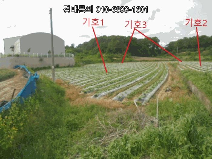  충북 음성군 대소면 2차선 도로에 접한 대형 토지 경매, 산업단지 인근 미래가치 높은 투자용 법원물건 2025타경30518