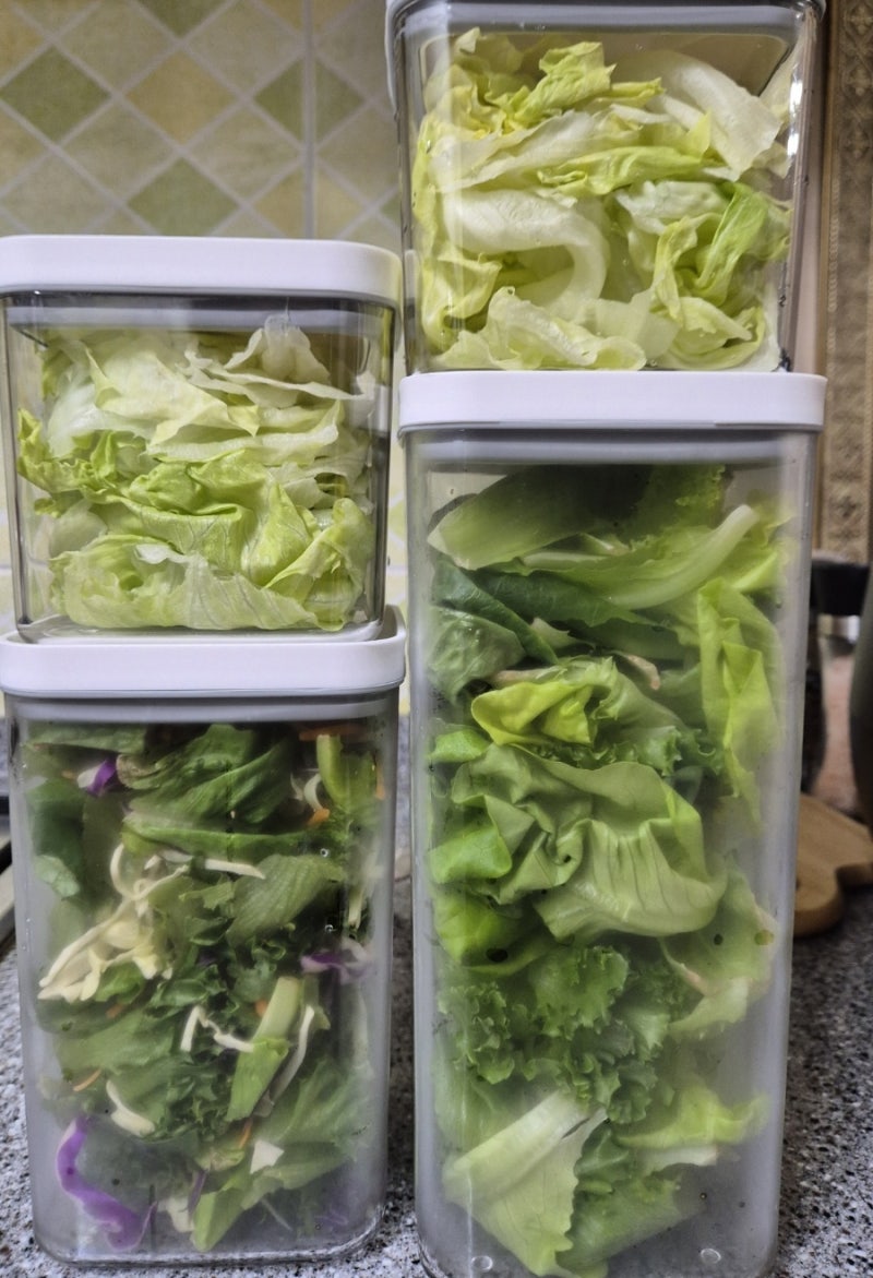 야채 보관 정리 최고 살림템 파르셀 바큠씰 진공밀폐용기 사용 후기