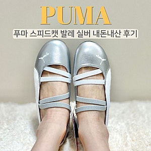 푸마 스피드캣 발레 실버 내돈내산 후기