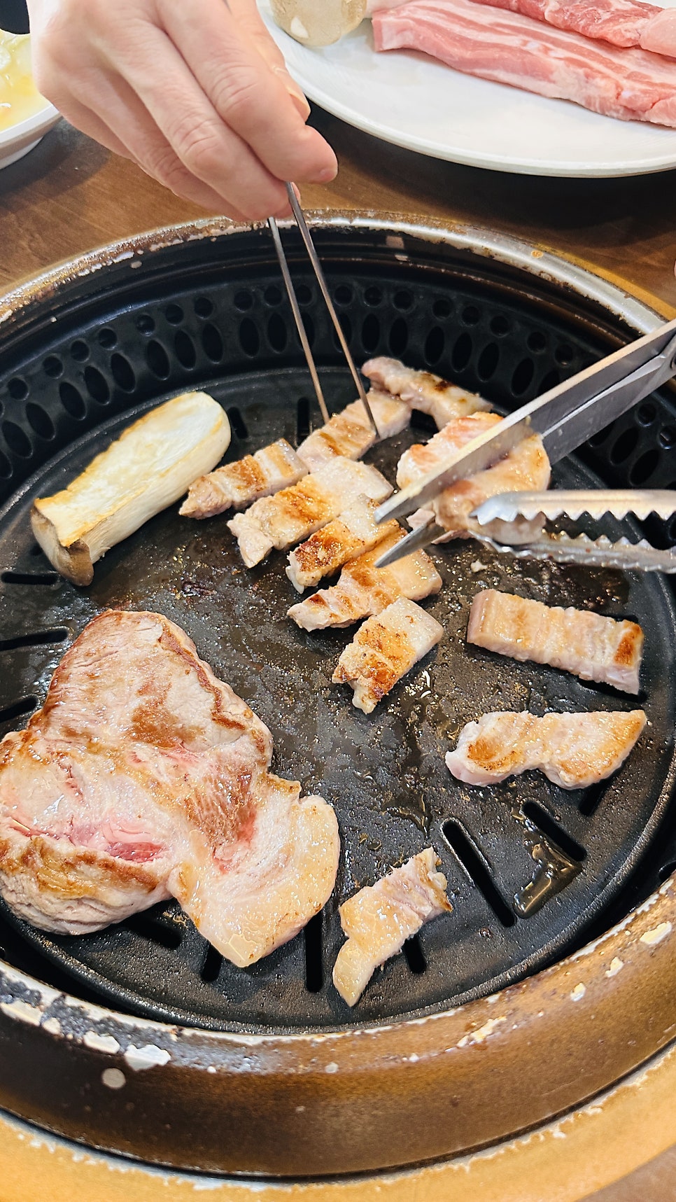 복돈이야 사진 1