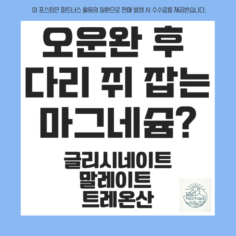 [마그네슘2편] 오운완 후 다리 쥐 잡는 마그네슘 추천! 킬레이트, 말레이트, 트레온산 제품 비....