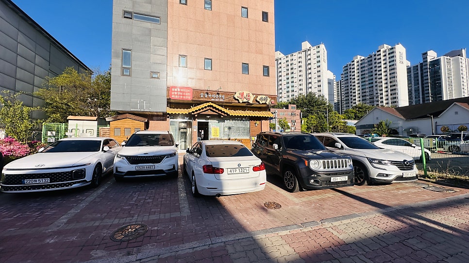 복돈이야 사진 3