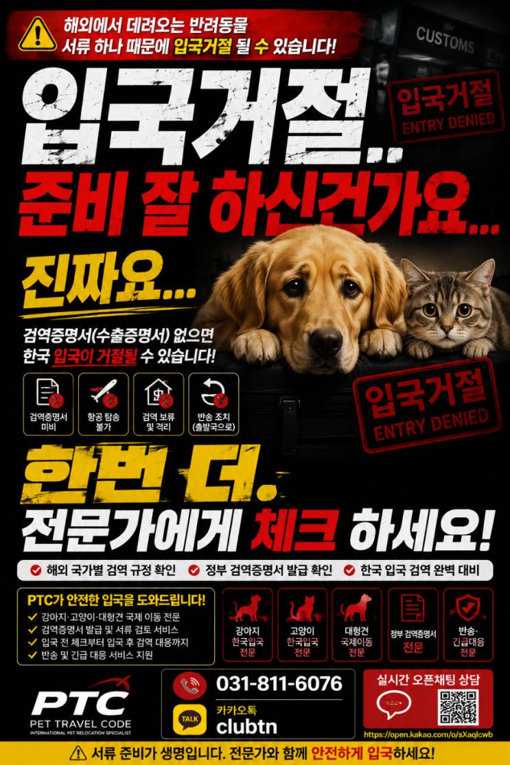  해외 반려동물 한국 입국 검역 주의사항｜강아지·고양이 반송 사례 증가