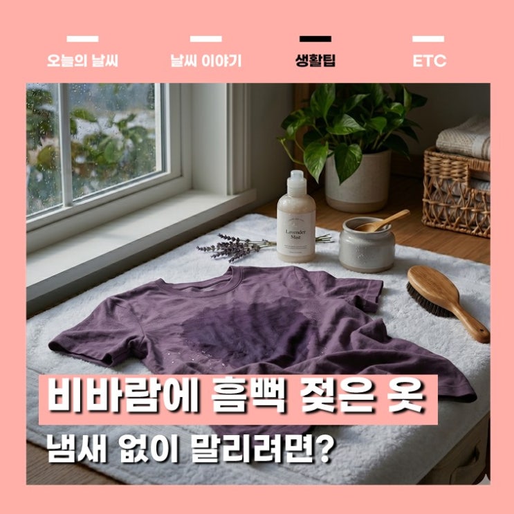 <b>비바람</b>에 젖은 옷 자연 건조 해도 될까?