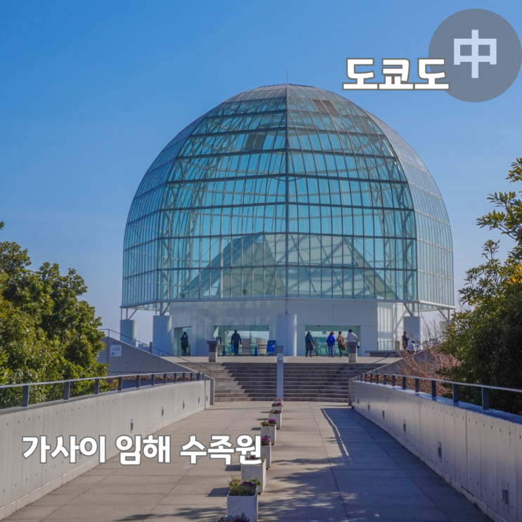  도쿄 가볼만한곳 아쿠아리움 가사이 임해 수족원