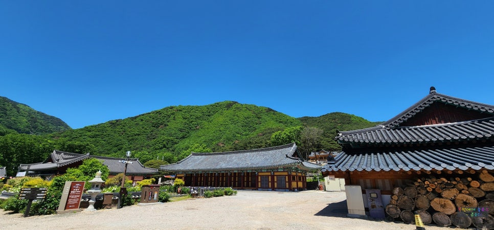 Gohyangsikdang photo 3