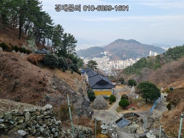  부산 도심 속 10만평 노른자 토지, 반값 경매! 수영구 망미동 개발 잠재력 품은 대형 임야 2024-113597