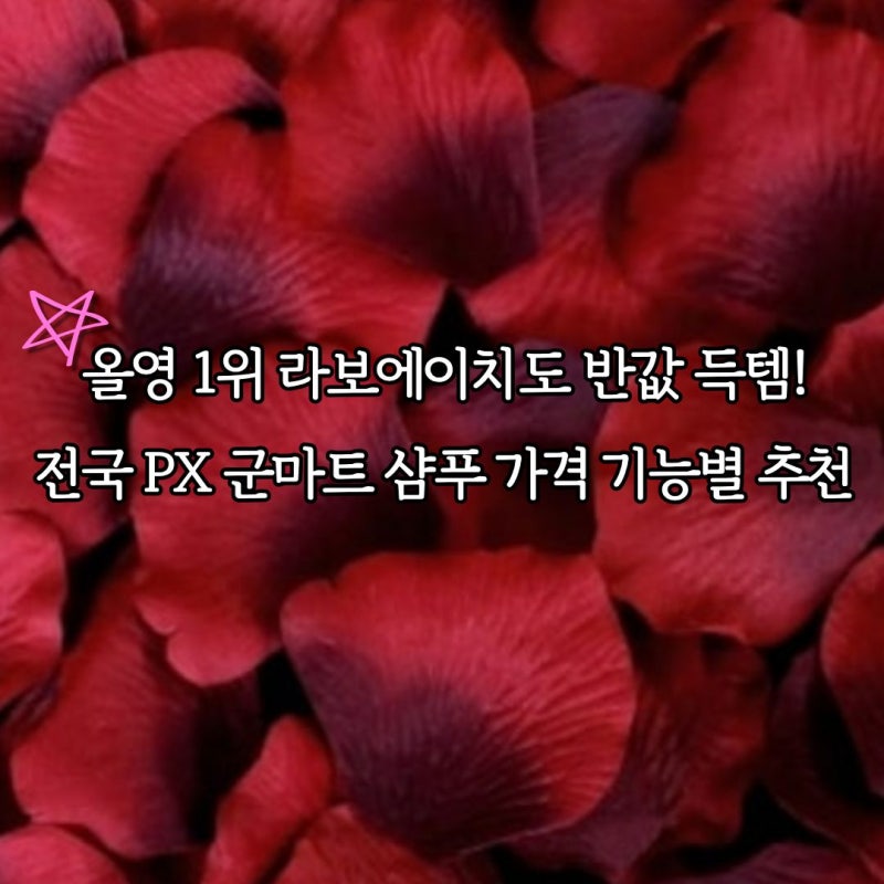 전국 PX 군마트 샴푸 가격 기능별 비교 추천, 올리브영 1위 라보에이치도 반값 득템!