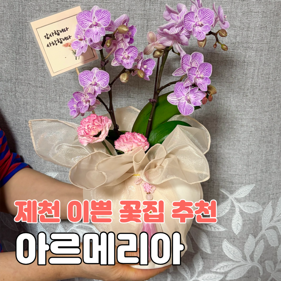 아르메리아 사진 1