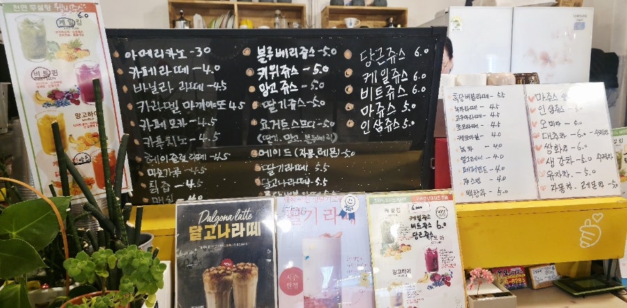 림 사진 4