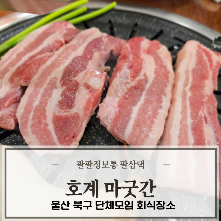 마굿간 사진 3