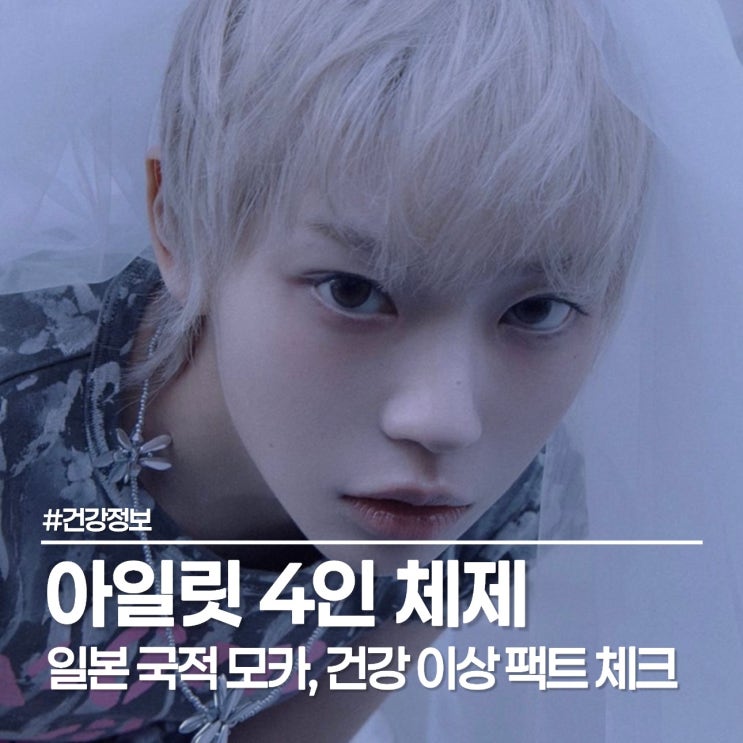  아일릿 모카 활동 중단 소식에 가슴 철렁, 빌리프랩 공식 발표로 본 향후 일정