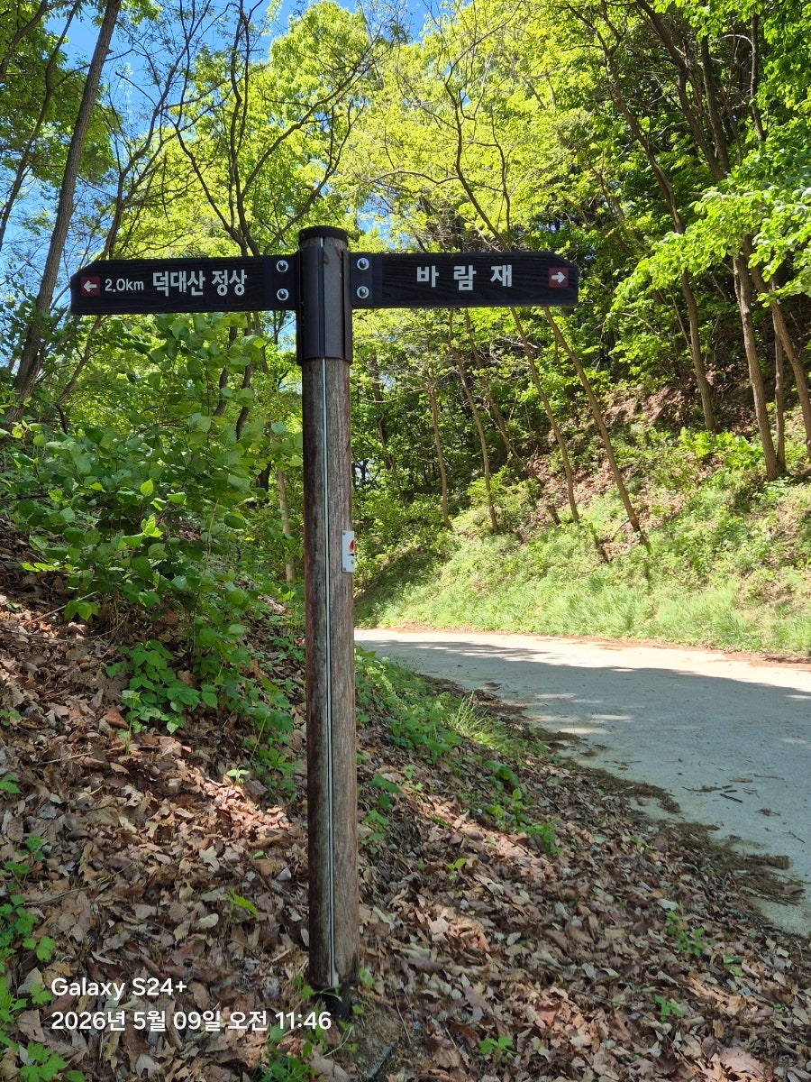 덕대산 사진 5