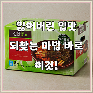 [로켓프레시] 신선애 파김치, 5kg, 1개, 입맛 없을 때 구원투수 등판!