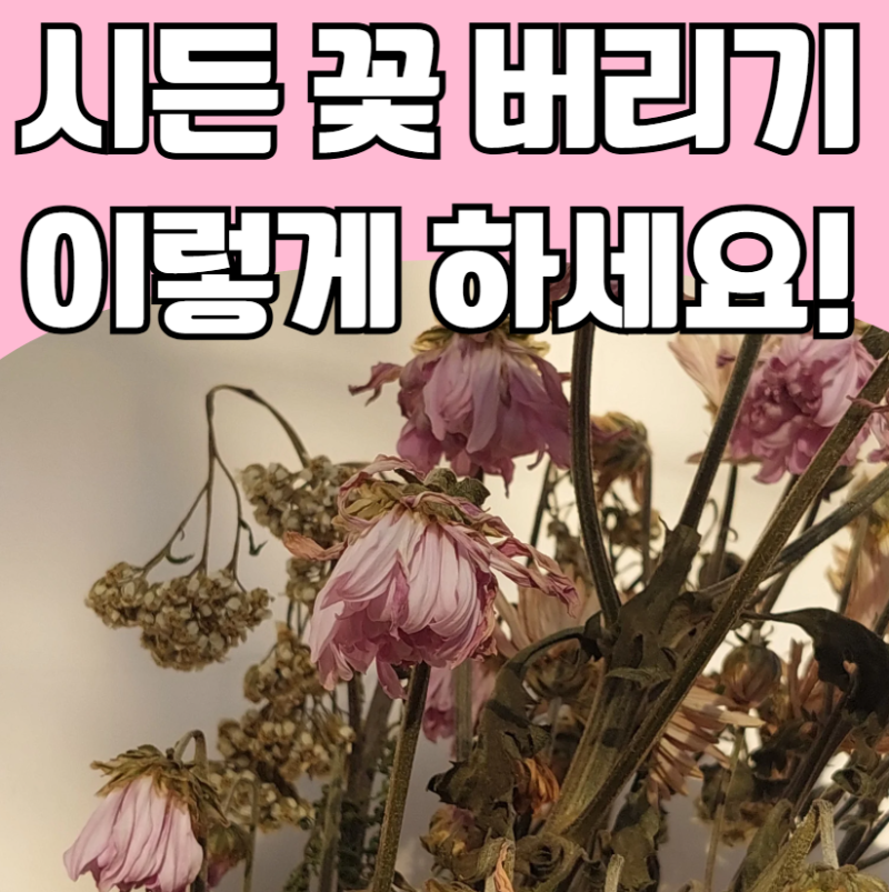 시든 생화 꽃 버리는 방법 - 꽃다발, 꽃바구니 그냥 버리면 안 되는 이유!