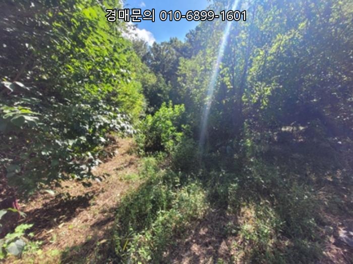  대구 달성군 다사읍 부곡리 691-1, 광활한 토지와 주택이 함께하는 법원 경매 투자 성공의 기회! 2024타경35408