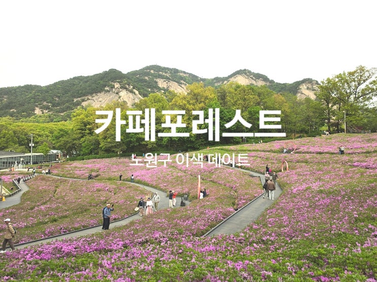  서울 노원구 이색 카페 불암산 카페포레스트 주말 데이트 코스