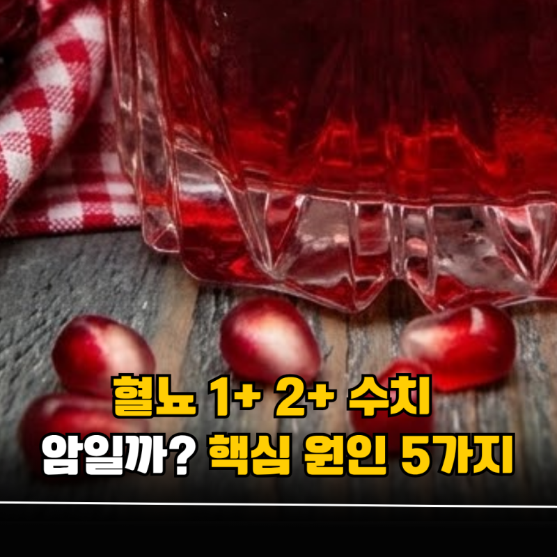 혈뇨 1+ 2+ 수치 의미, "미세혈뇨 원인" 5가지와 정밀검사 가이드