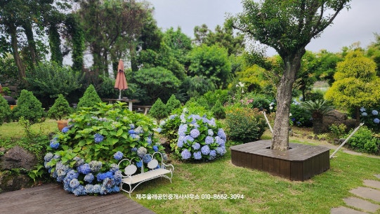 팜스테이 사진 5