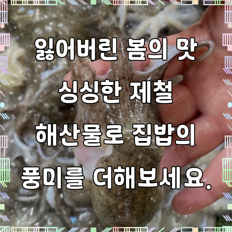산지직송 국내산 활 쭈꾸미 국산 1kg 2kg 알배기 알쭈꾸미, 2kg, 1개