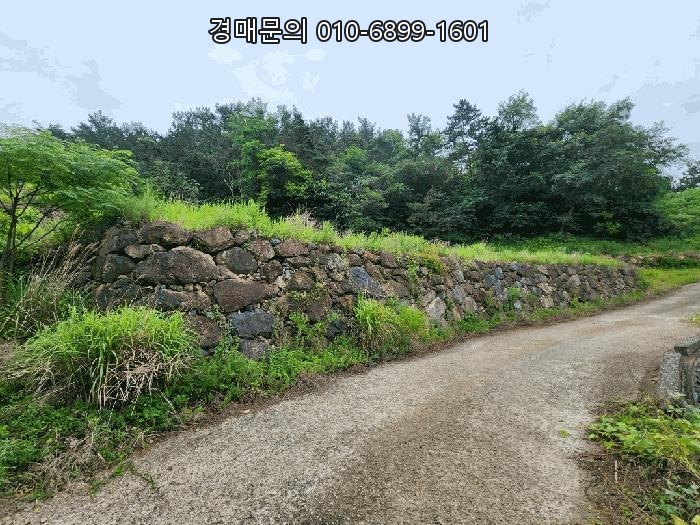  거제 사등면 바다 조망 1400평대 개발용 토지 경매, 펜션이나 대형 카페 부지로 최적의 낙찰 기회 2025타경546