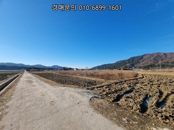  전라북도 남원시 이백면 6,000평대 초대형 토지, 1회 유찰로 가격까지 매력적인 농지 경매 찬스 2023타경31703