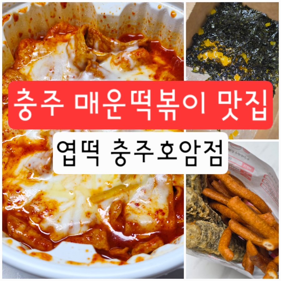 동대문엽기떡볶이 충주호암점 사진 1