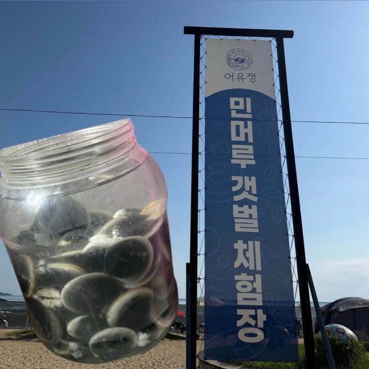  석모도 아이랑 갈만한곳 민머루해수욕장 갯벌체험 유료 후기