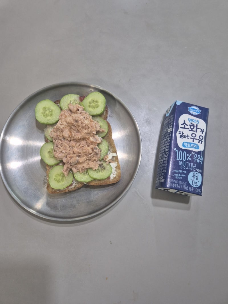 당뇨식단, 다이어트토스트, 참치오이토스트