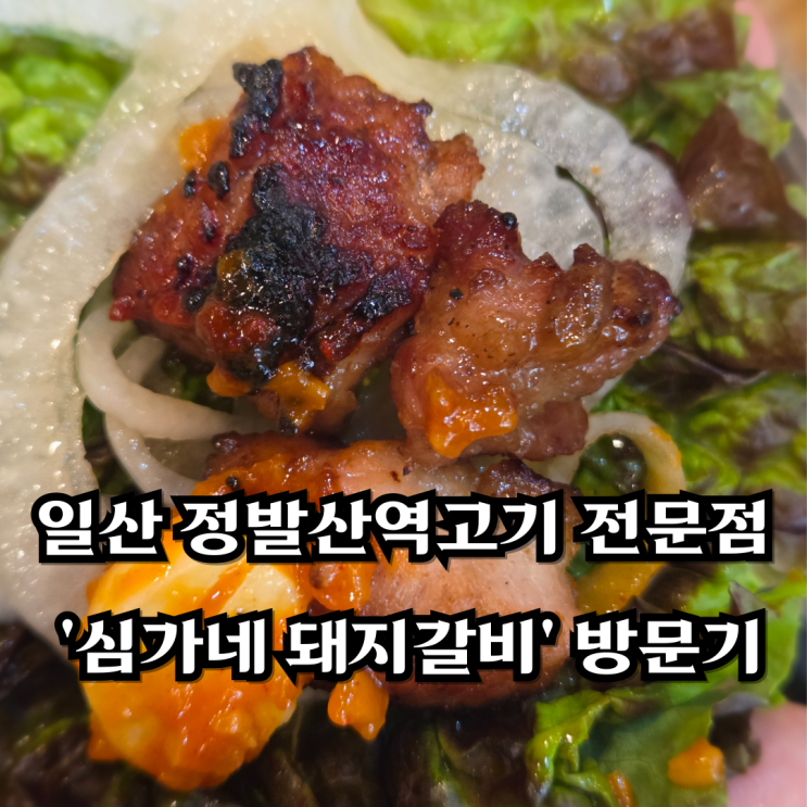  일산 정발산역고기 전문점 '심가네 돼지갈비' 방문기