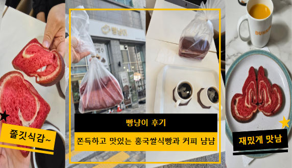 빵냥이 사진 1