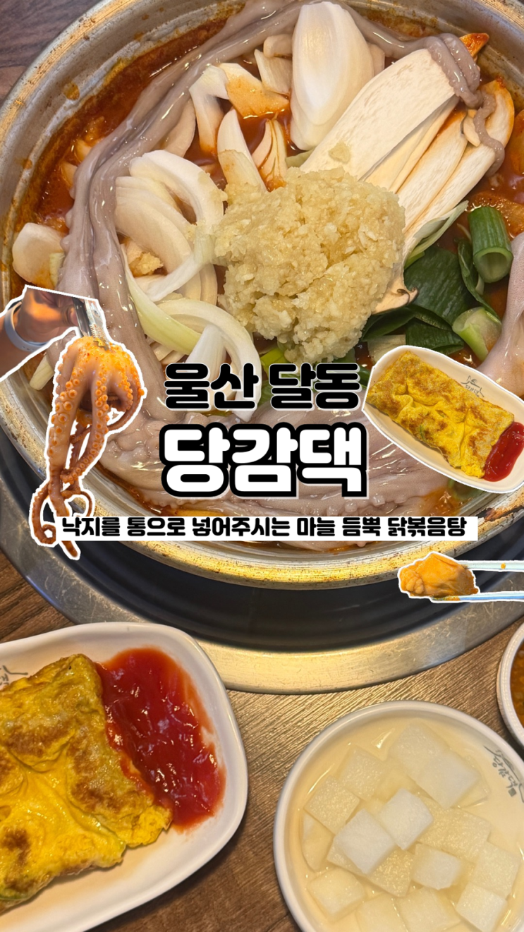  낙지를 통으로 넣어주는 가성비 좋은 닭볶음탕 울산 달동 맛집 당감댁