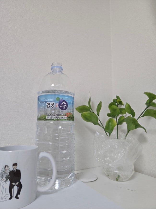 생수2L 함평나비수 미네랄워터 집에서 물2L 챙겨 마셔본 후기