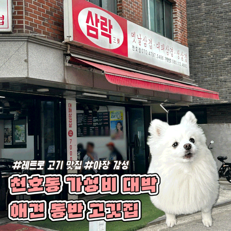  천호동 애견 동반 식당 야장 고깃집 가성비 대박 삼락