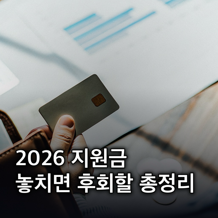  2026 민생지원금: 신청부터 지급, 사용처 총정리