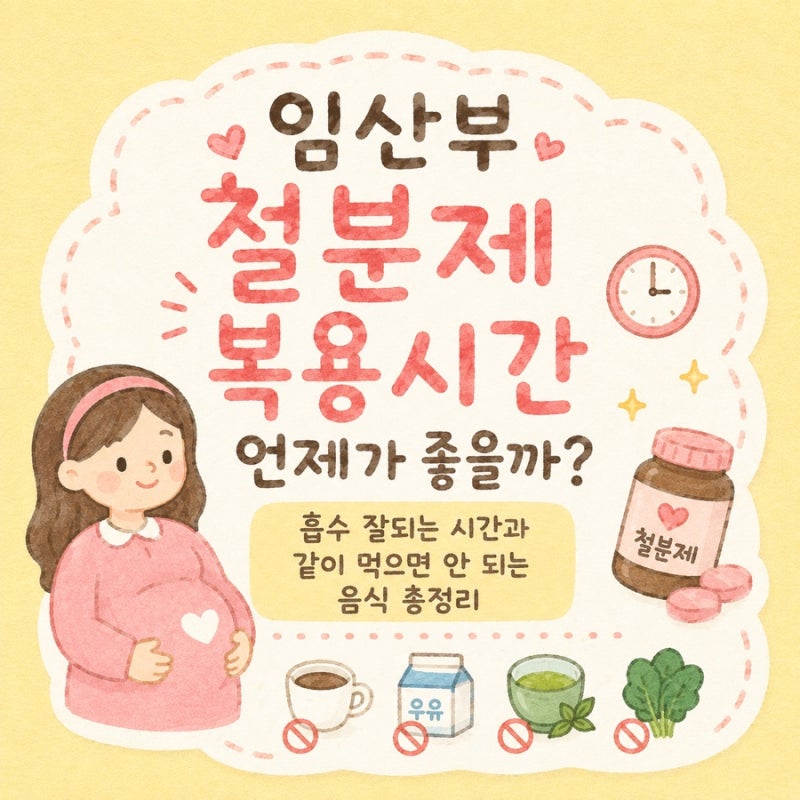 임산부 철분제 복용시간 언제가 좋을까?｜흡수 잘되는 시간과 같이 먹으면 안 되는 음식 총....