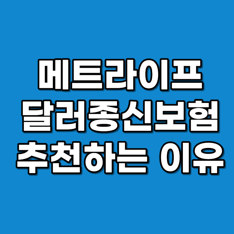 메트라이프달러종신보험 추천하는 이유? “달러만 사면 되는데 왜 보험까지 들어요?”