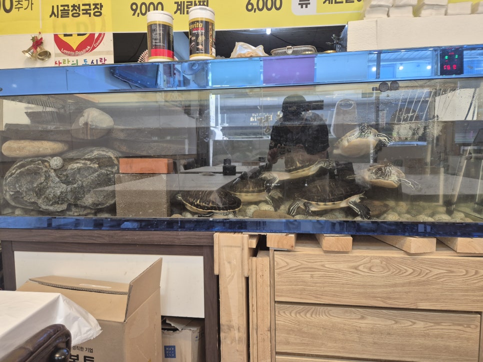 정희백반 사진 3